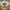 Découvrez l'incroyable histoire de l'Arbre du Monde, Yggdrasil