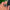 Bague Celtique Arbre de vie - Univers Celtique